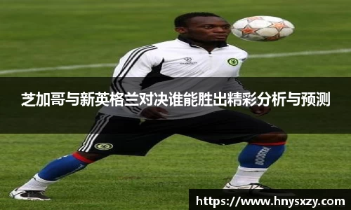芝加哥与新英格兰对决谁能胜出精彩分析与预测